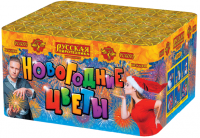 Новогодние цветы Фейерверк купить в Бирюсинске | biryusinsk.salutsklad.ru