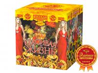 Красивая жизнь Фейерверк купить в Бирюсинске | biryusinsk.salutsklad.ru