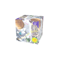 Новогодняя ночь Салют купить в Бирюсинске | biryusinsk.salutsklad.ru