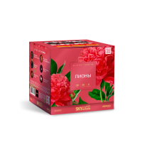 Пионы Салют купить в Бирюсинске | biryusinsk.salutsklad.ru