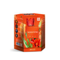 Тюльпаны Салют купить в Бирюсинске | biryusinsk.salutsklad.ru