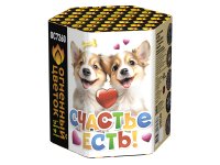 Счастье есть! Салют купить в Бирюсинске | biryusinsk.salutsklad.ru