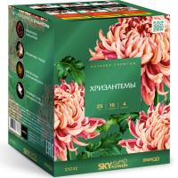 Хризантемы Фейерверк купить в Бирюсинске | biryusinsk.salutsklad.ru