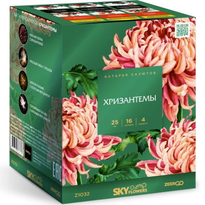 Хризантемы Фейерверк купить в Бирюсинске | biryusinsk.salutsklad.ru
