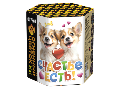 Счастье есть! Салют купить в Бирюсинске | biryusinsk.salutsklad.ru